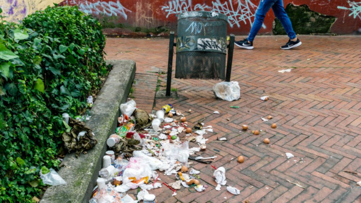 Descripción de la imagen